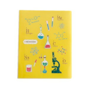 �O���[���t���b�V�� �t�@�C�� STUDY HOLIC A4 �N���A�u�b�N�t�@�C�� ���w ST-243