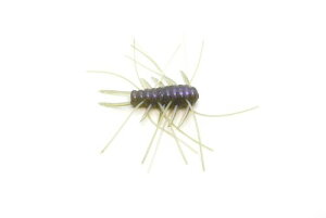 ���C�h�W���p��(Raid Japan) AVI CROSS (�A���B�N���X) 30 072. �X�e���X�t�B�b�V�� (072 STEALTH FISH)