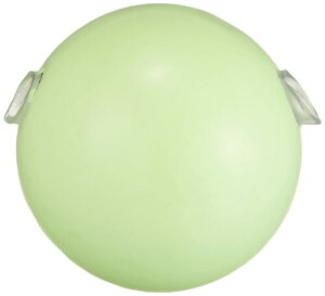 FV NISSIN JbgEtOVJ[ 30 O[