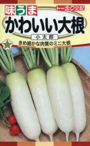 Ѓg[zN 킢卪 Y 04571