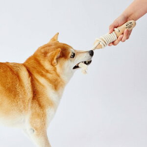 ペティオ (Petio) 犬用おもちゃ Ethical Door エシカルドア 天然木とロープのデンタルバー M