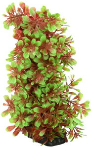 eg (Tetra) tLVuvg FP-6 lH ANZT[ 