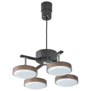 I[(OHM) y_gCg 4 ؖڒ X|bgCg _[NuE LED 4.5`8p k Vv   F Rt LT-YLP4RC-K 06-1650 I[d@