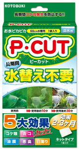 H| RguL  PEJbg lbg60 1