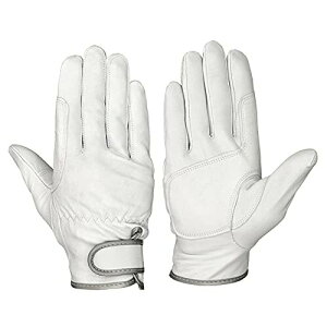 (V) Rrv Cɋ ɓ ϋv tBbg }WbN ⋭vĕt GT-718