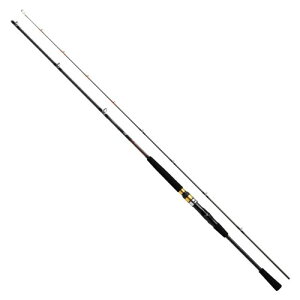 _C(DAIWA) D V[tbNX64 50-300EN ubN