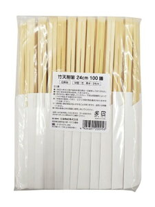 aY 蔢 |V픢 nnJ} 24cm 100V ܓ Ɩp