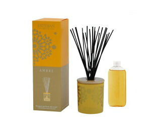 GXeo Ao[ fReBu^u[P pF