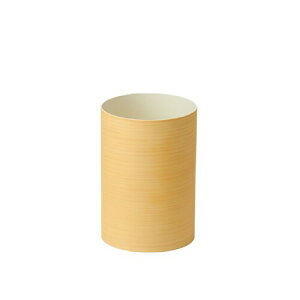 h(FUJIEI) _Xp[X^C S~ _Xg{bNX i`zCg L [t@C]18.6×H27cm 6.8L X^CbV Vv  ې􂢉 {̐El̎d ƂɓރfUC DS-02