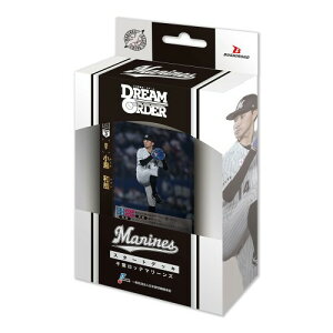 v싅J[hQ[ DREAM ORDER pE[O X^[gfbL tbe}[Y pbN