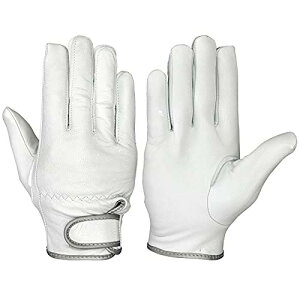 (V) Rrv Cɋ ɓ ϋv tBbg }WbN nt GT-719