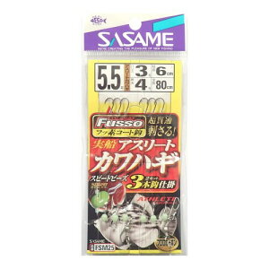 ߐj(SASAME) FSM25 DJnM3{b(TCtbf)5.5.