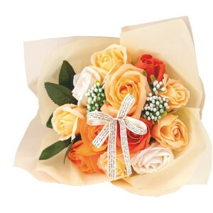 |s[É \[vt[ V{t[  Mtg v[g 12փu[P o ԑ 26cm NAobOt SBL-11 CG[