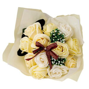 |s[É \[vt[ V{t[  Mtg v[g 12փu[P o ԑ 26cm NAobOt SBL-11 x[W