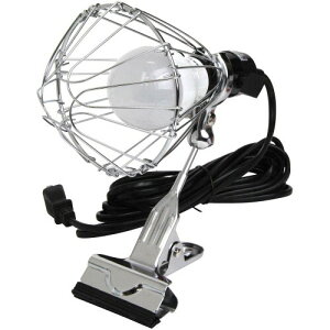 SK11 LEDNbvCg F p 5W SCL-5W-5M