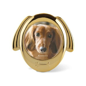 tHgt[ CeAt[ ʐ^  S[h  Ck ybg   Coco Gold Dog
