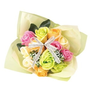 |s[É \[vt[ V{t[  Mtg v[g 12փu[P o ԑ 26cm NAobOt SBL-11 IW