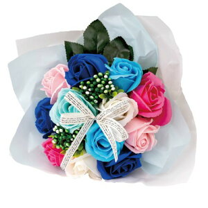 |s[É \[vt[ V{t[  Mtg v[g 12փu[P o ԑ 26cm NAobOt SBL-11 gR[