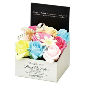 |s[É \[vt[ V{t[  Mtg v[g 9փu[P o {bNX 12cm MK-008 Jt