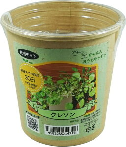 tHXg(Forest) 񂽂񂨂Lb` N\