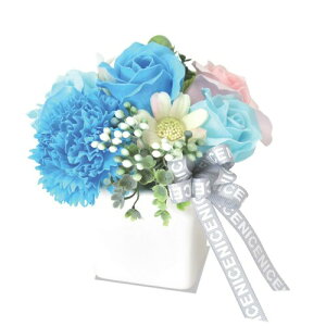 |s[É \[vt[ V{t[  Mtg v[g 5փu[P|bg o  15cm NAP[Xt S-165 u[