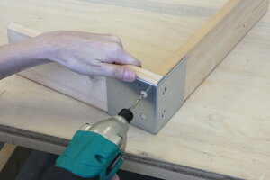 GXst(E-SPF) ʒu׃Nv L 1×4p