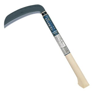 �L���{�V(Kinboshi) ���� �S�[���f���X�^�[ ���� ���n������(�|�t)165�~�� 1598