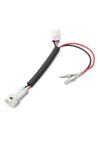 fCgi(Daytona) J^i(19)p don[lX tg 񂽂don[lX 15681