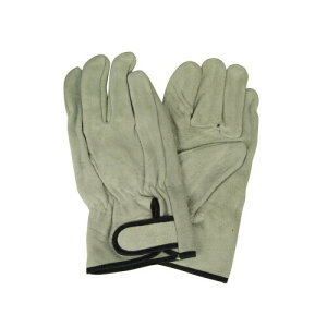 xmO[u EX-330 LL 5928 v(Ȃ^Cv)