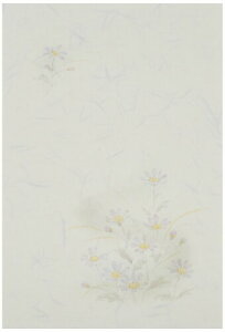 n[g CNWFbg r͂ _瑓e(gO[) 30P PJG675