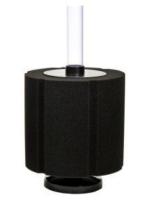 I oNgT[W X|WtB^[ XLTCY