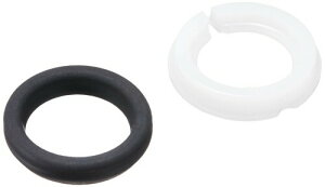 SANEI(TGC) Ci pCvpbLZbg pCva16mmp P43A-100S-16