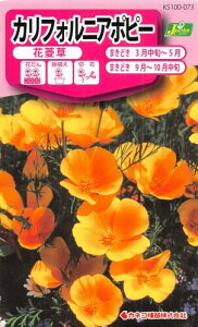 JlRc |E KS100V[Y JtHjA|s[ Ԉ 100 073