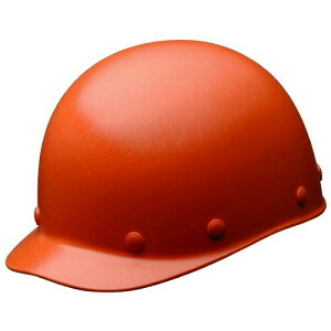 (~hS) wbg Ɨp FRP Yh~ SCS1 RA KPt IW