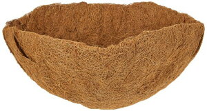 ^JV[ V}bg(wb_[)nMOoXPbg 25cmp