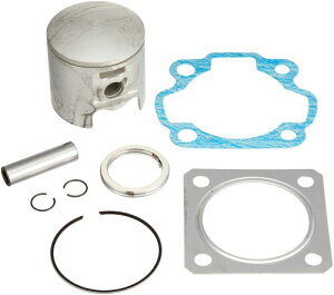 L^R(KITACO) sXgLbg{AAbvp([t@C]57.0) AhXV100/AhXV100^CvS X^_[hTCY 350-2400900