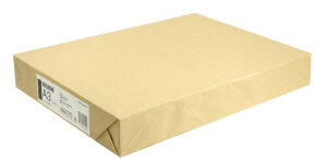 RN(KOKUYO) ڕ\ A3 100 ZC-845