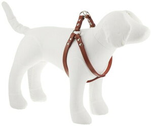 ONS hCc(Ȃ߂)y֓ #55  (^) (n[lX)