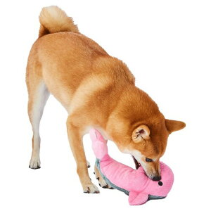 AhCg (ADD. MATE) p ANACgBIG NW