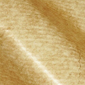 VW} (wCR[) bNXV[g Ɩp ؓNtg 400x300mm 250 002100502