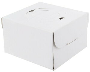 HONEY COOK A[NhTJg fR[VBOX P[L 5 g[t PR2200