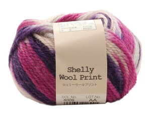 A(Motohiro) XL[ ҂ݖю VF[E[vg (5ʃZbg) Col.4009