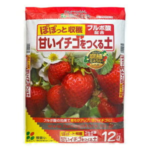 Ԃ ÂC`Sy t{_z 12L