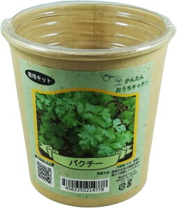 tHXg(Forest) 񂽂񂨂Lb` pN`[