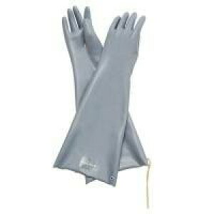 niLS ϗn܎܃ni[u NO.286 1o