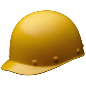 (~hS) wbg Ɨp FRP Yh~ SCS1 RA KPt CG[