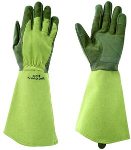 ���a�R�[�|���[�V���� WEST COUNTY ROSE West County Rose (�E�F�X�g�J�E���e�B�[���[�Y) 432 ���X S