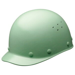 ~hS wbg ʍƗp MƗp ʋCEt SCS1V RA KPt XO[