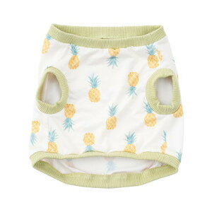 Ԃ͂ ܂Jo[N[ MTCY ˂ނ˂ރAj}Y pC (W24xH27cm) ڐG⊴f ی삷邨m 34206-01