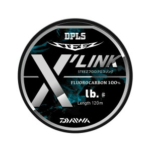 _C(DAIWA) XeB[Y t NXN 120m 8lb(#2) i`